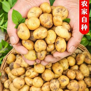 �S��С������ʩ�������r�����ɽ�F���R����С�������R������l