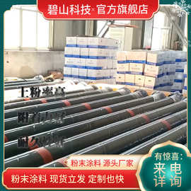 双抗粉末颜色 低温固化粉末粉末涂料图片 黑砂纹粉末碧山科技