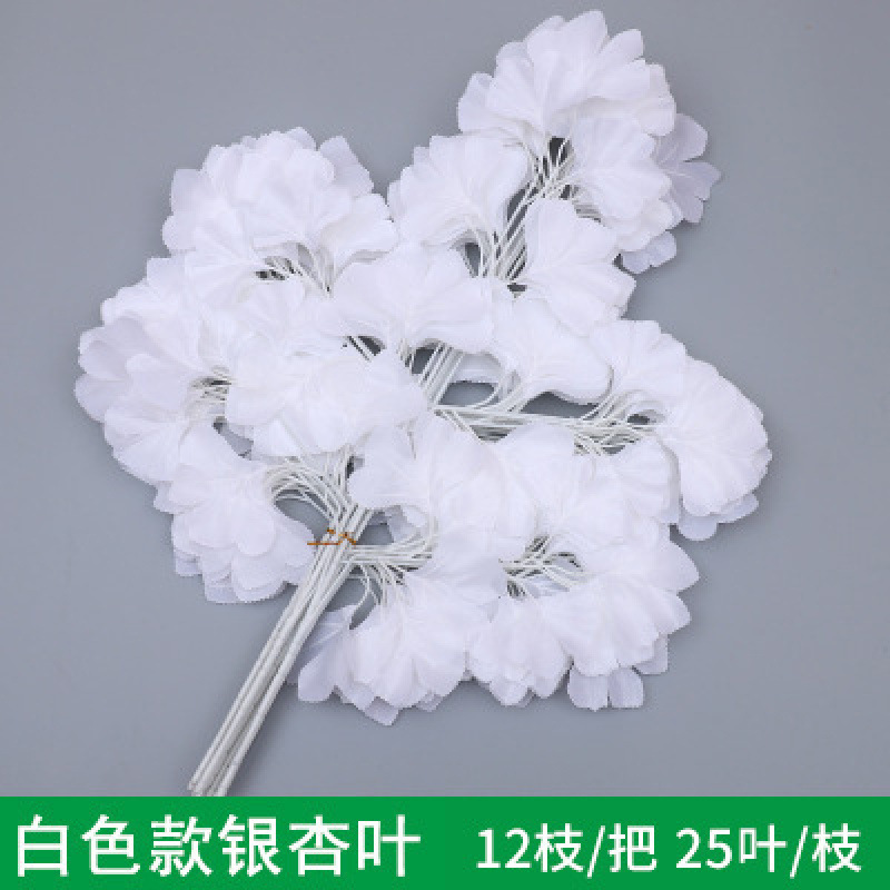 Bai Ginkgo (12 branches in one dozen)