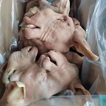 ���r���^����Ę��ȥ�ǰ�������^���������^���s�������X������l