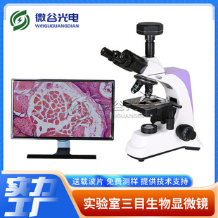 ��X�͔��a�����@΢�R �W����Ŀ���a�@΢�R ���Ԅ�Ӌ���@΢�R�S��