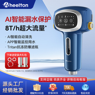 Wheelton pre-filter central water purifier household backwash automatic AI intelligent whole house water leakage protection