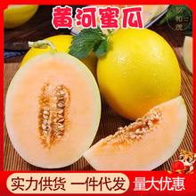 �����S���۹�9���������rˮ�����5�����l���]10�������ɳĮ�۹�