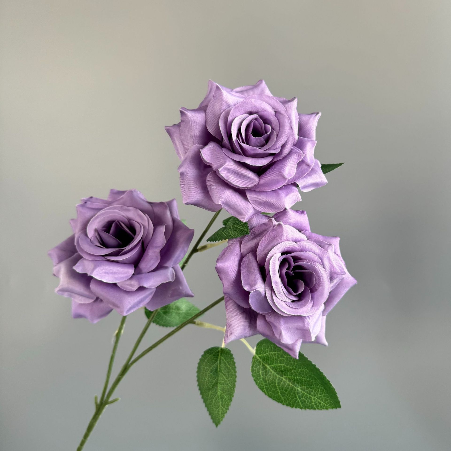 진한 보라색(잎 없음)