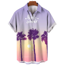 rƤ羳QuWLʿļҬӘ3Dӡrr