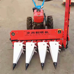 �r�Æθ���݆���C ���C��ޣ���C �����������׸�����C