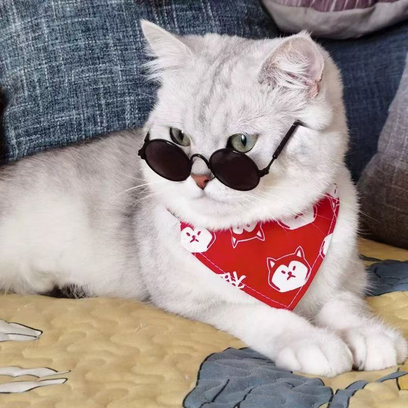 时尚宠物猫咪太子镜狗狗拍照眼镜配饰毛绒玩具网红太阳镜创意墨镜|undefined