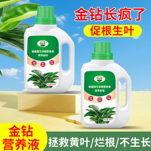 Gold Diamond Special Nutrient Liquid Fertilizer Household Potted Plant Liquid Fertilizer Indoor Flower Green Plant Universal