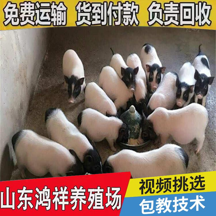 conew_u=3687001494,3763668324&