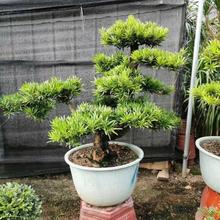 ȸ_hС~Ϙ辰҃ͥԺGֲһһĉ