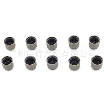 Valve oil – Oil seal