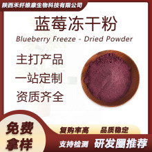 蓝莓冻干粉 Freeze-dried blueberry powder冷冻干燥固体饮料大货