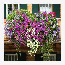 ţNӴţ׷NȻNѱ̶`֥ĵļ