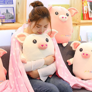 Cartoon pig explosion-proof hot water bag warm baby rechargeable cute plush warm water bag student dormitory electric hand warmer