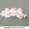 Short model 9 fork Phalaenopsis light powder silk cloth
