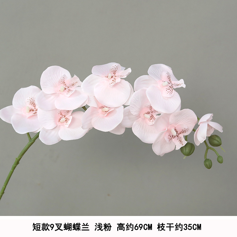 Short 9-pronged phalaenopsis light pink silk