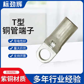 批发T型接线端子喇叭铜管端子窥口铜接线紫铜镀锡铜鼻子冷压端子
