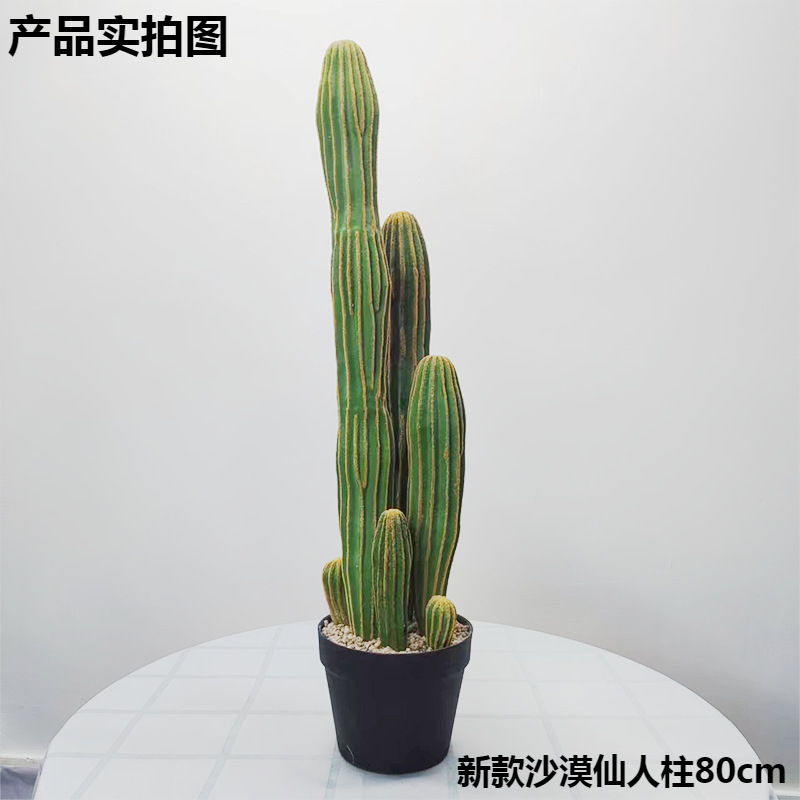 Simulación nórdica Planta verde Pilar de hadas Cactus grande piso interior sala de estar ropa tienda decoración de ventana