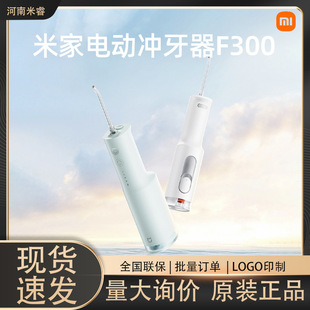 Mijia Electric Dental Irrigator F300 Portable Handheld Scattered Pulse Water Flosser Teeth Cleaner