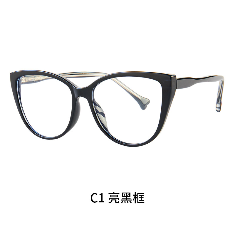 TR90 + C1 밝은 검은 프레임