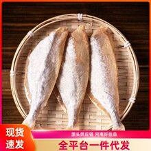 ���r�ԕ��������~�ɰ�Ƥ�~�������~���ڸ�؛��Ƥ���~�����u�~���~