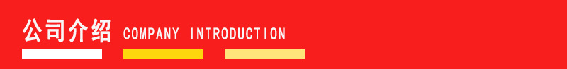 公司介绍