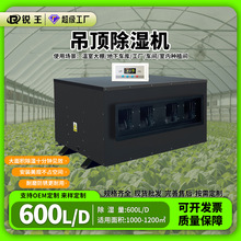 ��픳���C�͵͜��r���}����칤�I����������600L���ܳ���