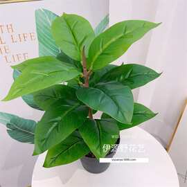 仿真植物墙配材绿植大把束叶子 手感15叶万年青绿萝盆栽家居