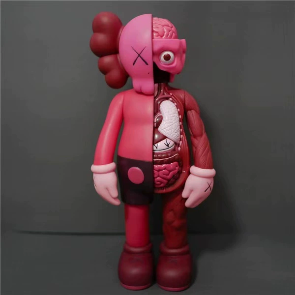 Anatomy, 20cm