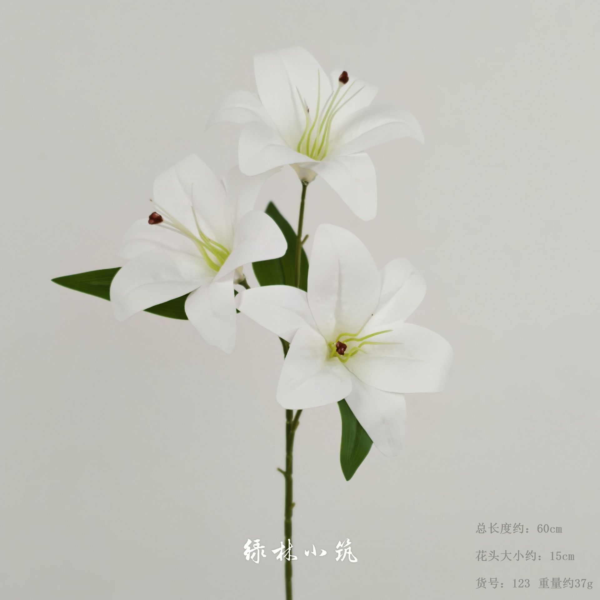 품목번호 123-머리가 세 개인 백합