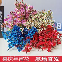 澳洲腊梅鲜切花水培年宵花冬季带香味耐寒室内花材五色插花做干花