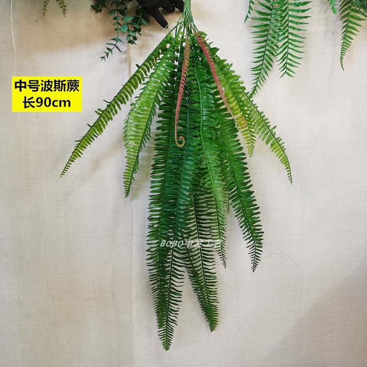 중간 페르시아 펀