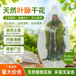 厂家源头叶脉干花工艺原料diy装饰书签 压花树叶植物标本工艺原料