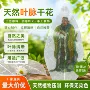 压花叶脉工艺植物书签