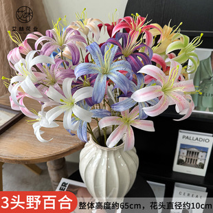 3�^Ұ�ٺ�Ī�λ��@�L ��c��Y��·�� �廨ܛ�b�����[�żٻ�