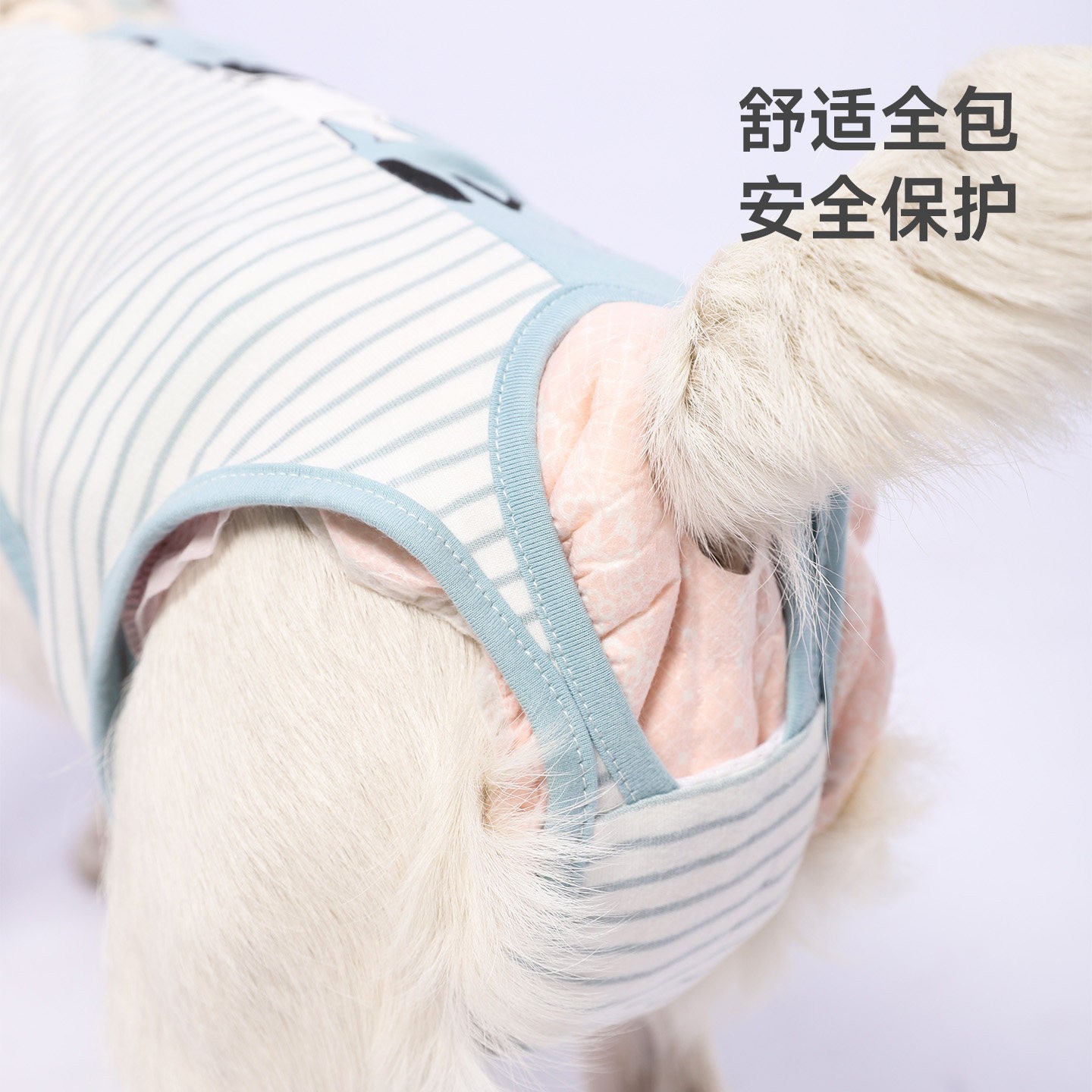Pantalones para perros, toallas menstruales, pantalones estro para mascotas, pantalones de algodón anti-acoso de Teddy image 3