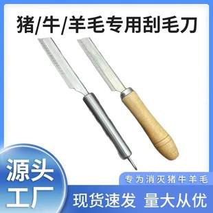 �N�����ò��P䓹��ië�� �i���i�_��ë�����i���