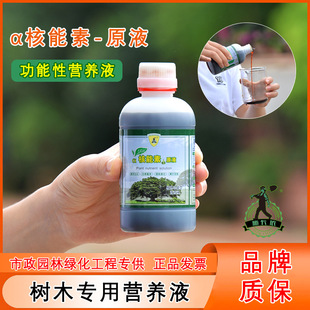 α-nucleogen stock solution Big tree hanging needle solution Special injection concentrated nutrient solution for tree transplanting Rooting and sprouting fertilizer