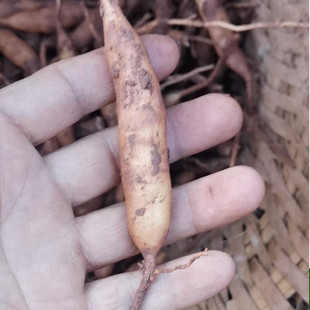 �Ĵ�С�춬���ݾ����r���T�����춬500g��Ȼ��؛���T����