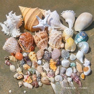 ��Ȼؐ�����ݺ��Ǽľ�з��Q���ֹ�diyؐ������~���쾰���ݚ�