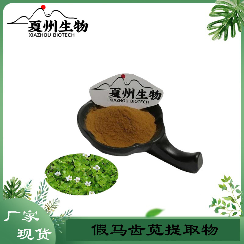 假马齿苋提取物 10/20/30:1规格   夏州生物 优质供应 kg装