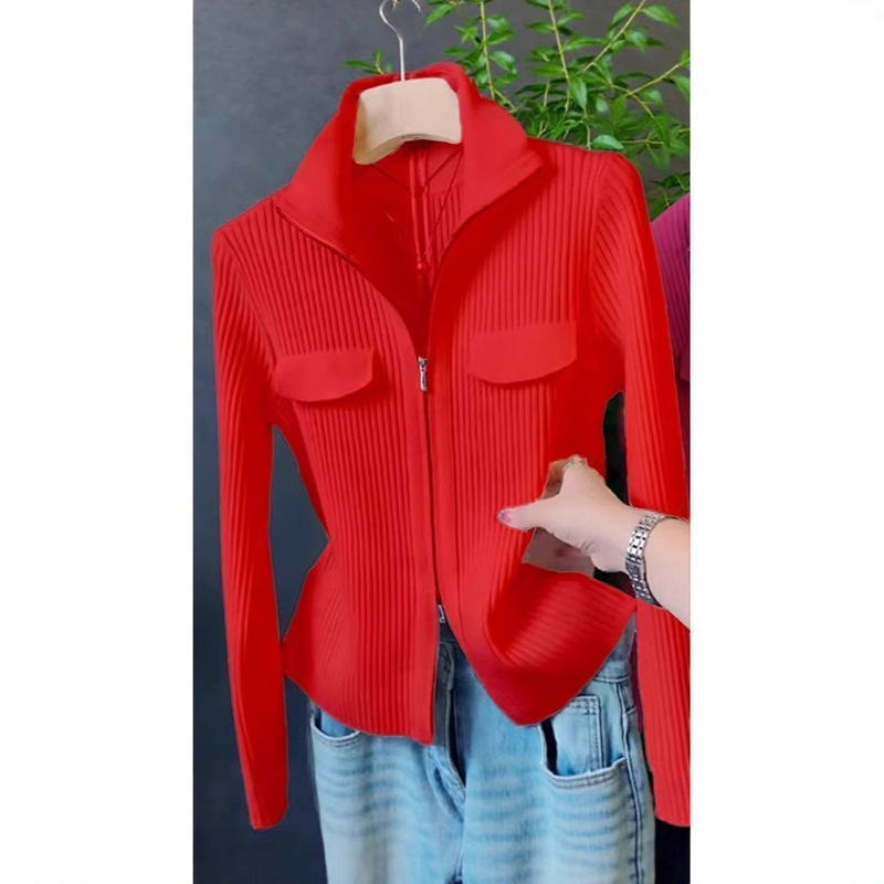 Women's Early Spring and Summer New Niche Double Zipper Design Tops and Bottoming Shirts Spring & Fall Clothes Casual Ai Logo