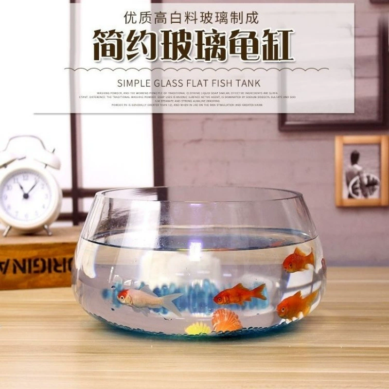 Круглый стеклянный аквариум для растений, гидропонная система, домашний мини-аквариум для черепах, прозрачный настольный аквариум оптом