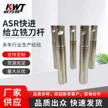 ASR快进给立铣刀杆 高品质ASR快进给立铣刀杆 ASR快进给立铣刀杆