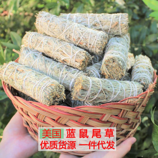 Natural Hot Sale Blue White Sage USA California Straight Hair Blue Sage Aromatherapy Relaxation Space Wholesale Cross Border