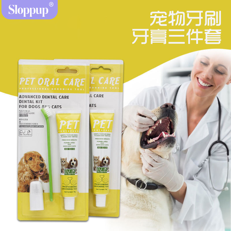 Pasta de dientes para mascotas, cepillo de dientes, cepillo de dientes para perros, pasta de dientes para aliento fresco, pasta de dientes para encías