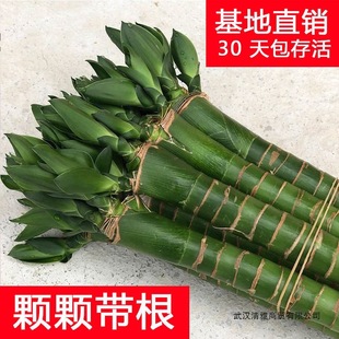 ���񎧸����F��ˮ�Bֲ���^�����񹝹��߿͏d�҃�ˮ��Gֲ����