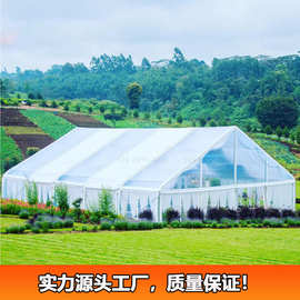 出尼日利亚弯柱帐篷户外婚礼帐篷弧形梁聚会活动篷房抗风雪易安装