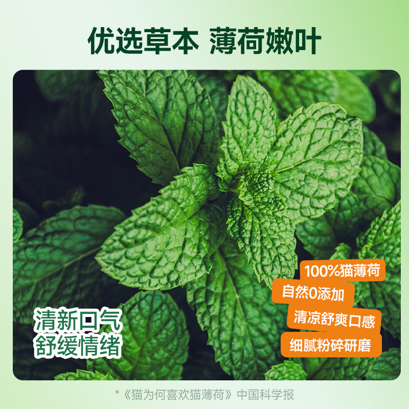 Gato rechinar los dientes para aliviar la codicia, bolas de pelo, cubos grandes, galletas de menta para gatos, bocadillos de entrenamiento para perros, comida para gatos domésticos al por mayor