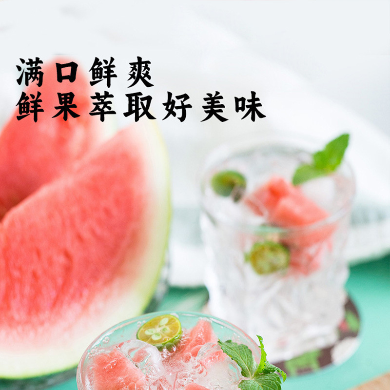 スイカミントリキッド 夏の暑さ対策 果汁飲料 冷たい飲み物 水出しスイカジュース シェイクアップ|undefined